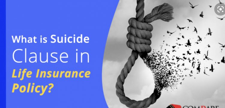 தற்கொலை வாசகம் என்றால் என்ன? | what is the suicide clause