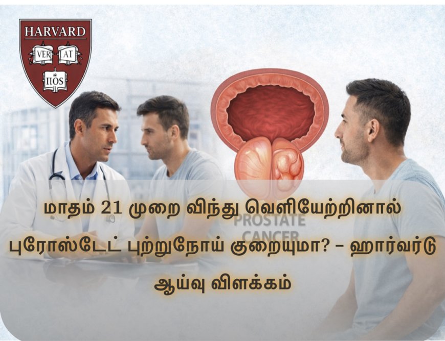 மாதம் 21 முறை விந்து வெளியேற்றினால் புரோஸ்டேட் புற்றுநோய் குறையுமா? – ஹார்வர்டு ஆய்வு விளக்கம்