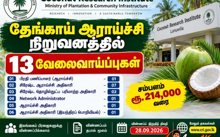 தேங்காய் ஆராய்ச்சி நிறுவனத்தில் 13 அரச வேலைவாய்ப்புகள் – சம்பளம் ரூ.214,000 வரை | 2026