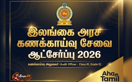 இலங்கை அரச கணக்காய்வு சேவை ஆட்சேர்ப்பு 2026 | கணக்காய்வு அலுவலர் வெற்றிடங்கள்